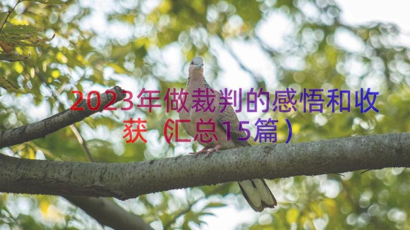 2023年做裁判的感悟和收获（汇总15篇）