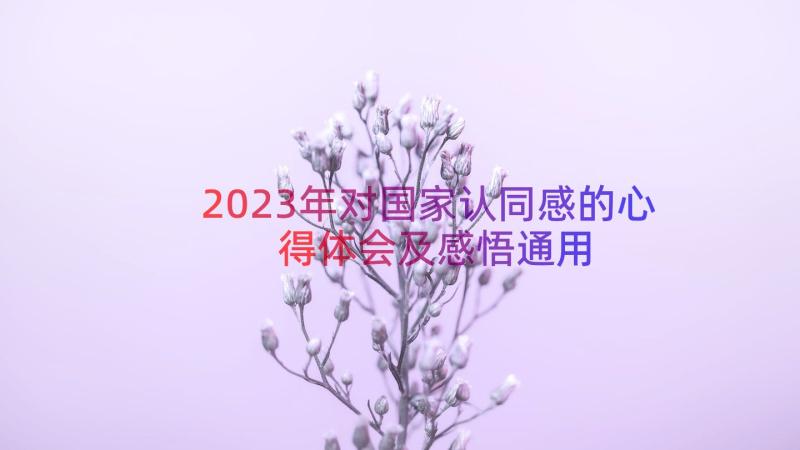 2023年对国家认同感的心得体会及感悟（通用13篇）