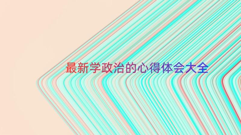 最新学政治的心得体会大全（13篇）