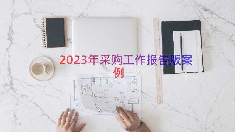 2023年采购工作报告版（案例17篇）