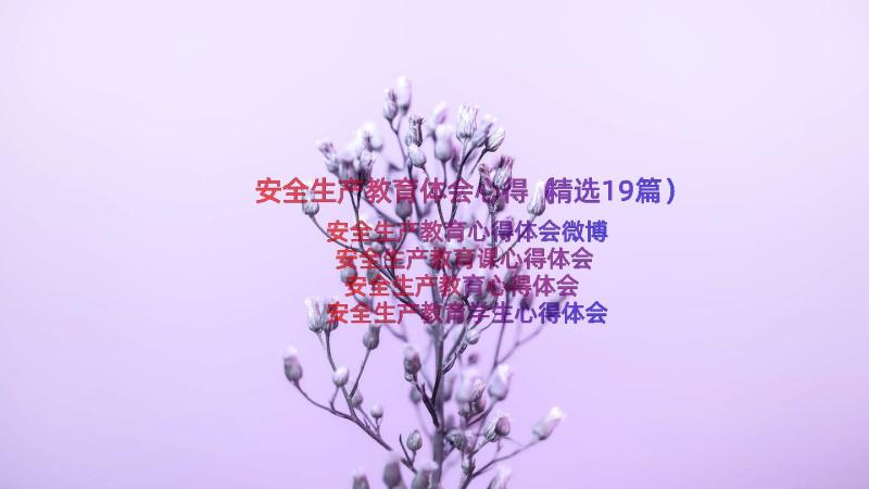 安全生产教育体会心得（精选19篇）