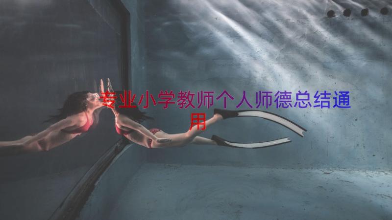 专业小学教师个人师德总结（通用16篇）