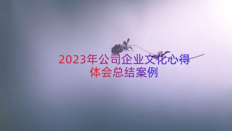 2023年公司企业文化心得体会总结（案例14篇）