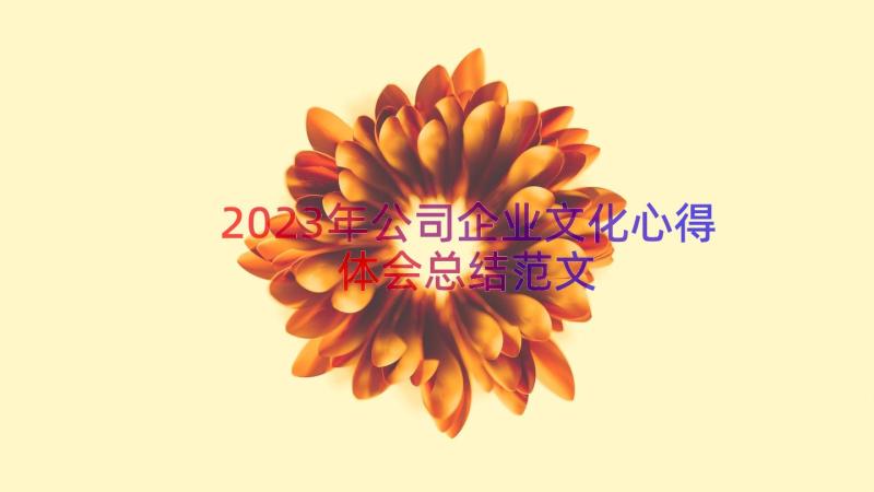 2023年公司企业文化心得体会总结范文（14篇）