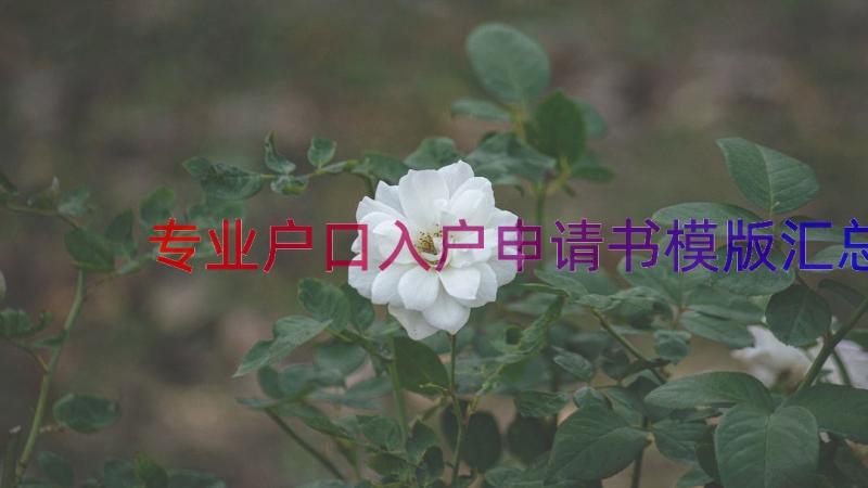 专业户口入户申请书模版（汇总13篇）