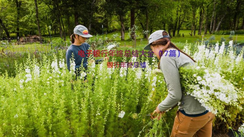 电子银行年终总结大全（17篇）