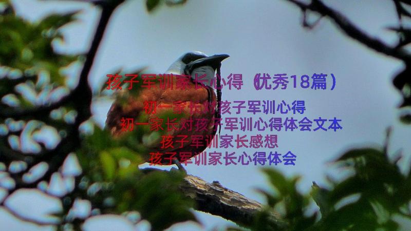 孩子军训家长心得（优秀18篇）