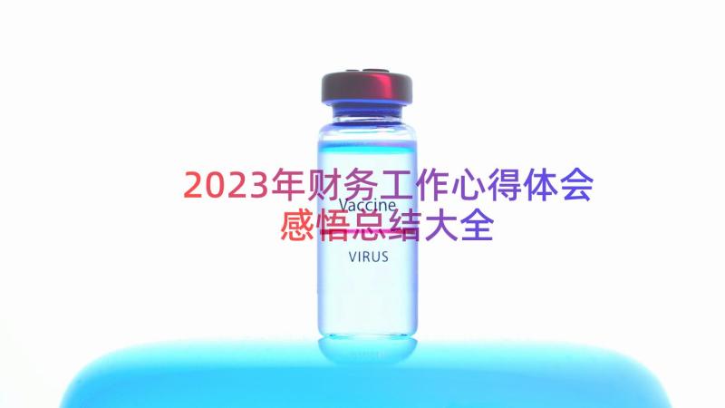 2023年财务工作心得体会感悟总结大全（17篇）