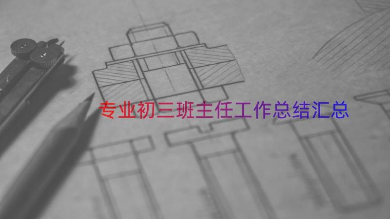 专业初三班主任工作总结（汇总15篇）