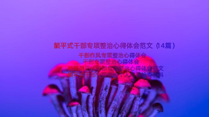 躺平式干部专项整治心得体会范文（14篇）