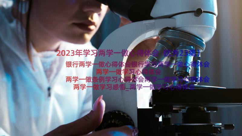 2023年学习两学一做心得体会（优秀23篇）