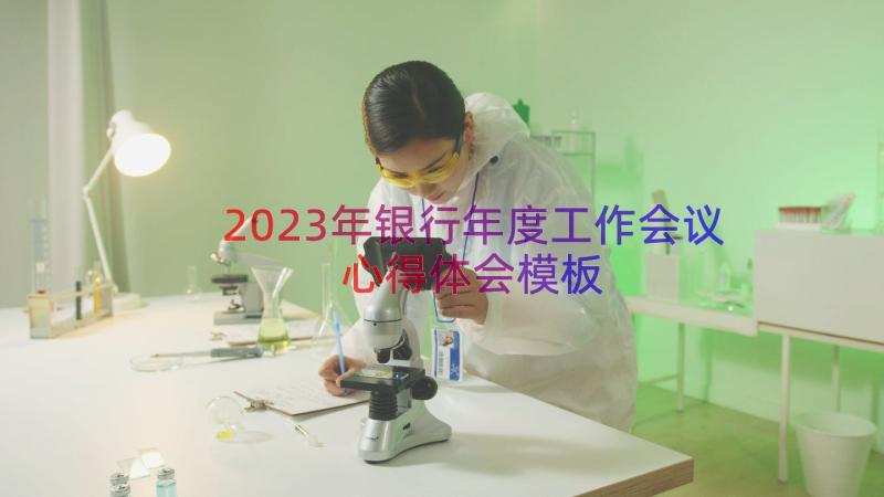 2023年银行年度工作会议心得体会（模板16篇）