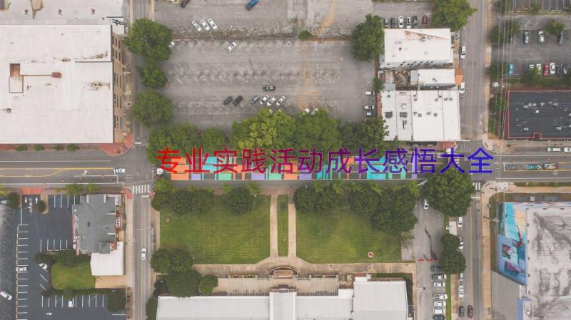 专业实践活动成长感悟大全（16篇）