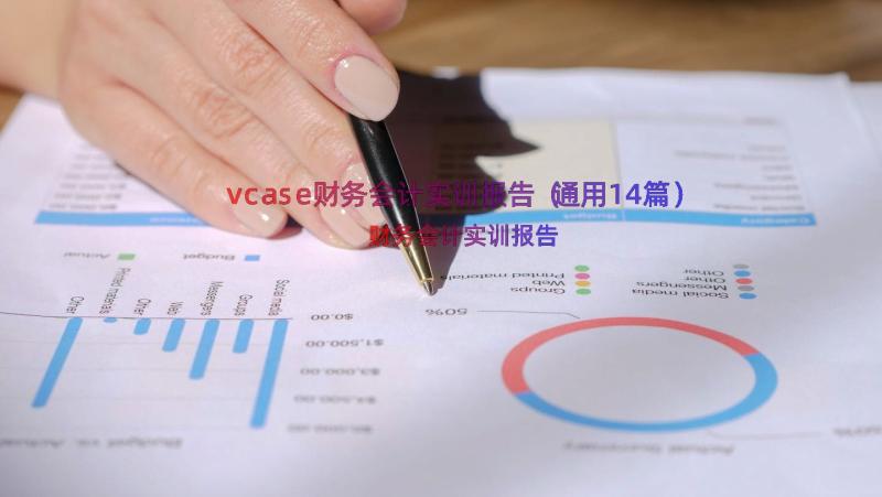 vcase财务会计实训报告（通用14篇）