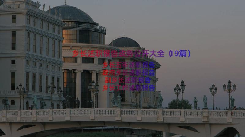 乡长述职报告政务公开大全（19篇）