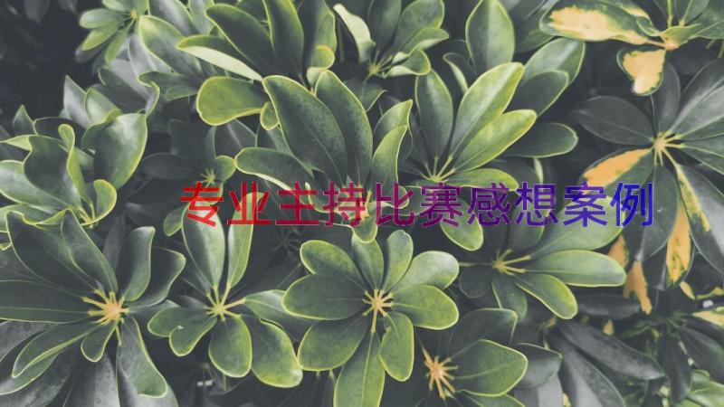 专业主持比赛感想（案例15篇）