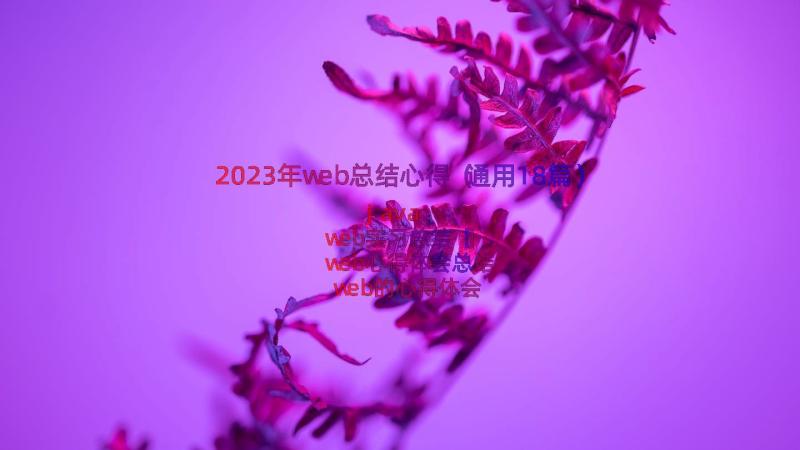 2023年web总结心得（通用18篇）