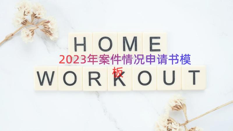 2023年案件情况申请书（模板15篇）