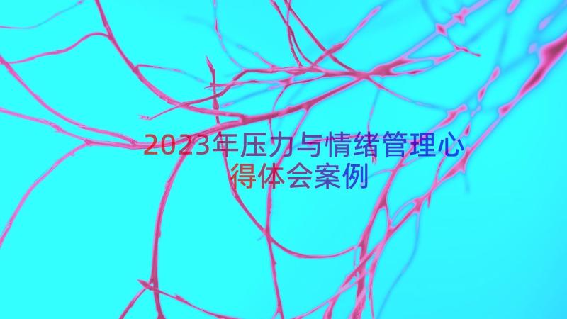 2023年压力与情绪管理心得体会（案例12篇）