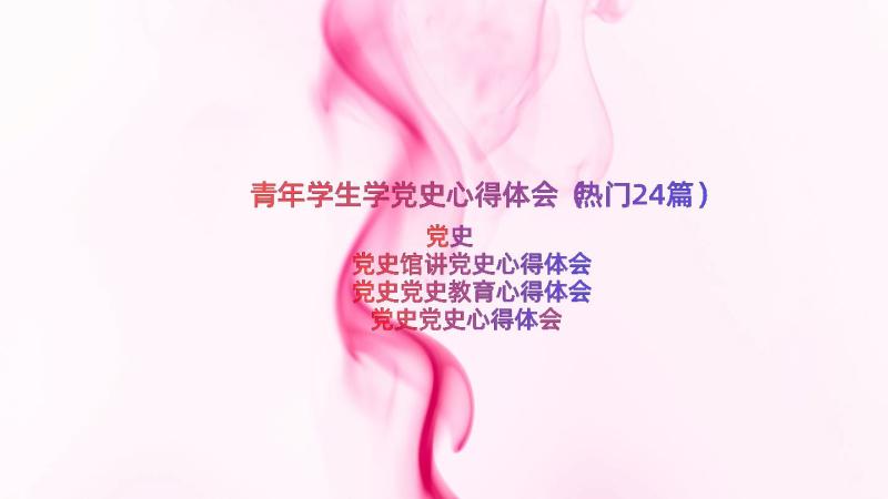 青年学生学党史心得体会（热门24篇）