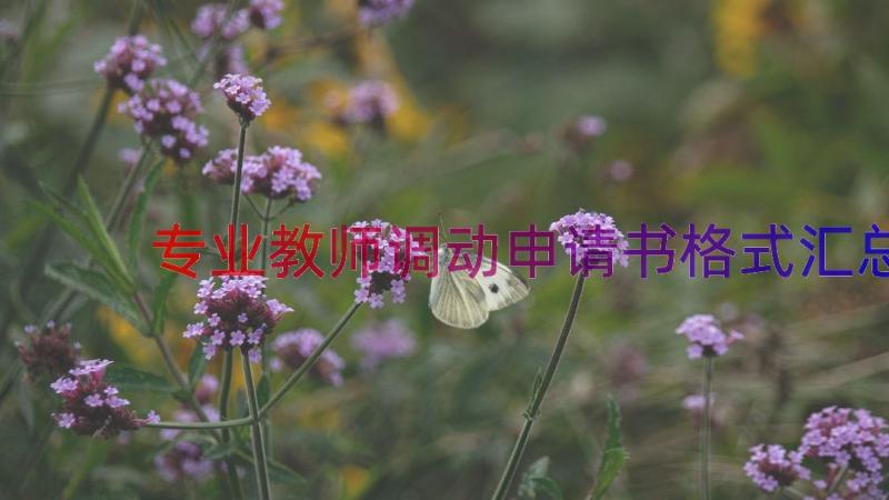 专业教师调动申请书格式（汇总17篇）