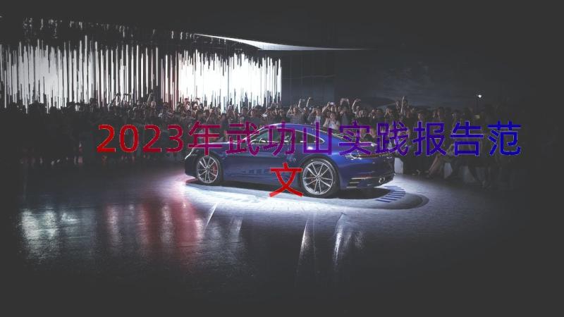 2023年武功山实践报告范文（13篇）