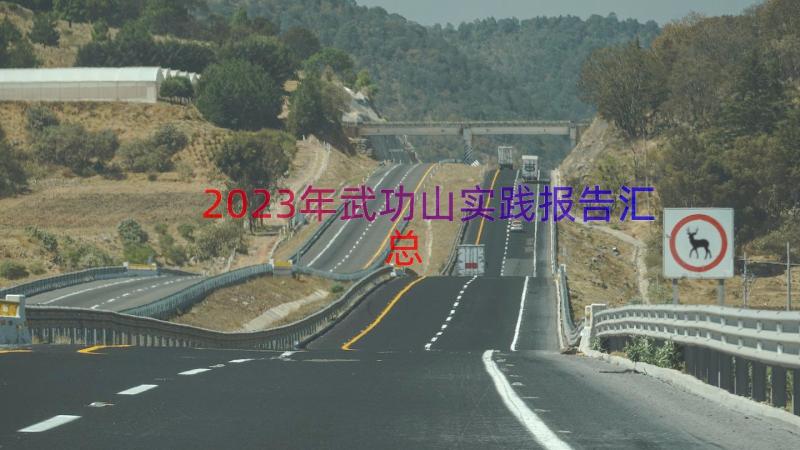 2023年武功山实践报告（汇总13篇）