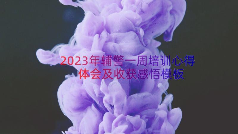 2023年辅警一周培训心得体会及收获感悟（模板16篇）