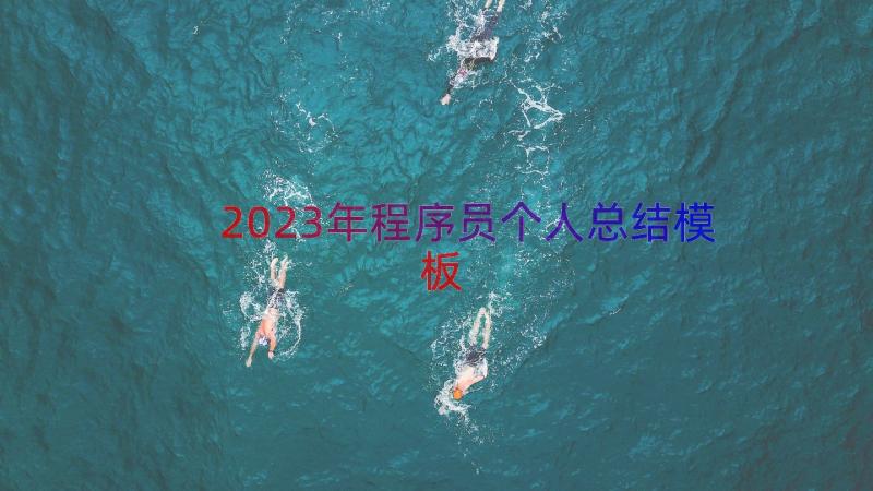 2023年程序员个人总结（模板14篇）