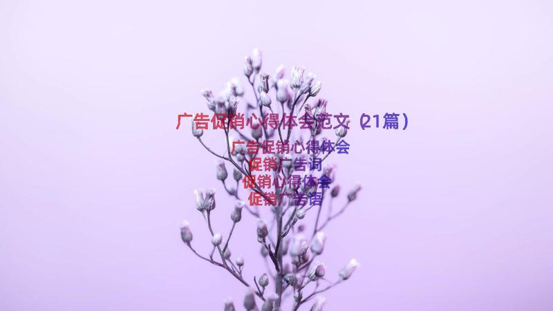 广告促销心得体会范文（21篇）