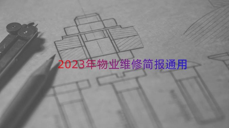 2023年物业维修简报（通用16篇）