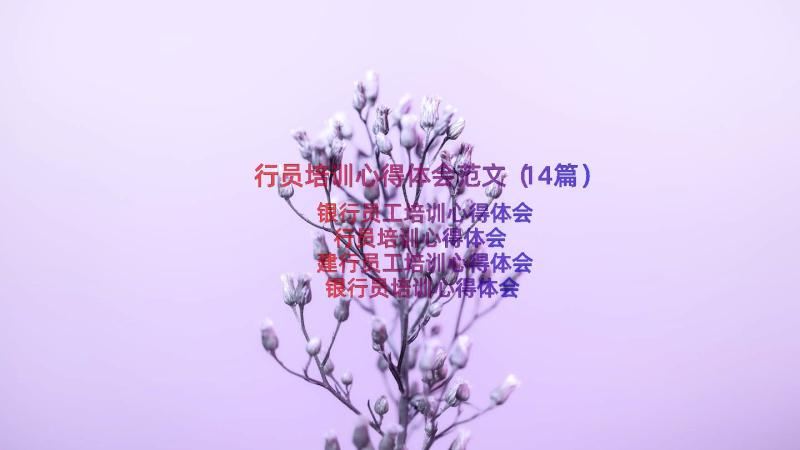 行员培训心得体会范文（14篇）