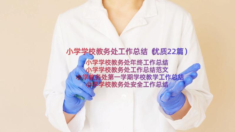 小学学校教务处工作总结（优质22篇）