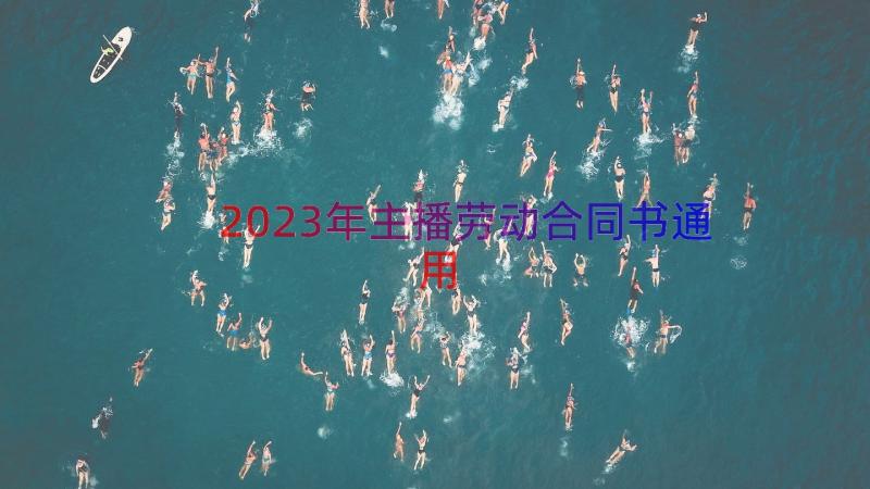 2023年主播劳动合同书（通用14篇）