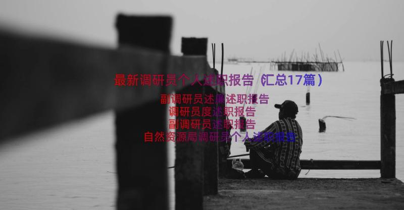 最新调研员个人述职报告（汇总17篇）