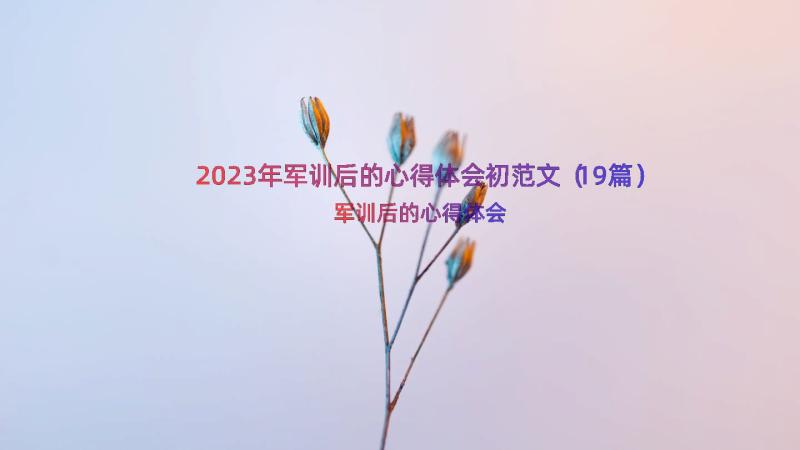 2023年军训后的心得体会初范文（19篇）