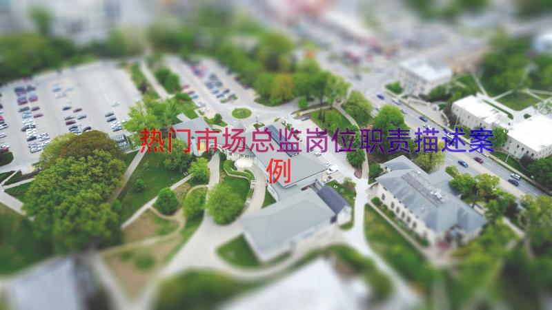 热门市场总监岗位职责描述（案例16篇）