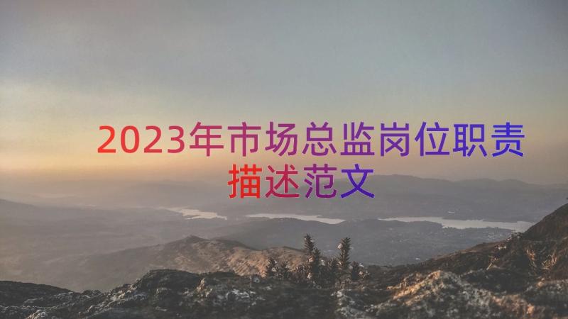 2023年市场总监岗位职责描述范文（15篇）