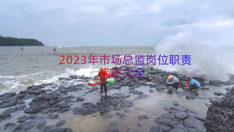 2023年市场总监岗位职责描述大全（14篇）