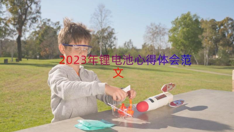 2023年锂电池心得体会范文（16篇）