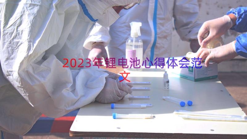 2023年锂电池心得体会范文（14篇）