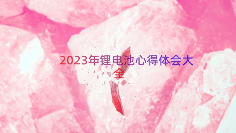 2023年锂电池心得体会大全（12篇）