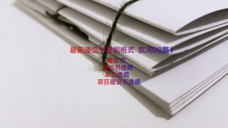 最新建议书提纲格式（实用20篇）