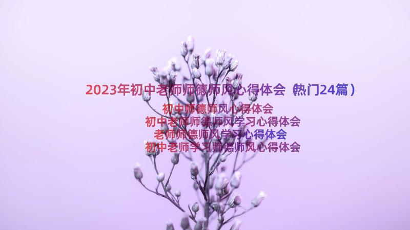 2023年初中老师师德师风心得体会（热门24篇）