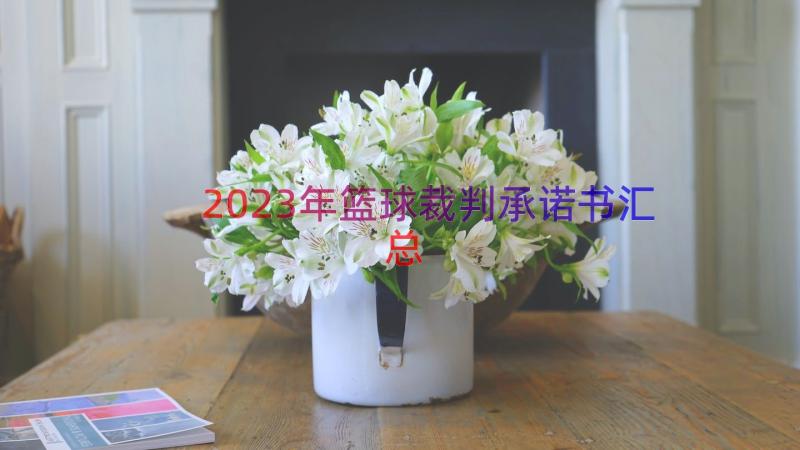 2023年篮球裁判承诺书（汇总16篇）