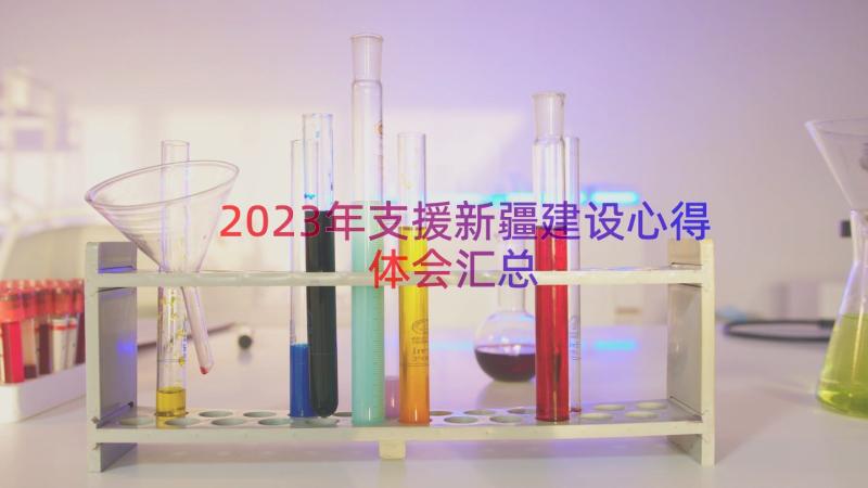 2023年支援新疆建设心得体会（汇总16篇）