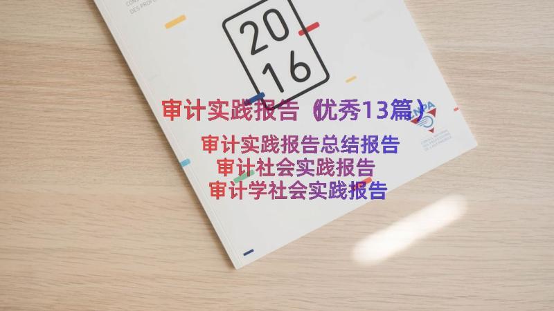 审计实践报告（优秀13篇）