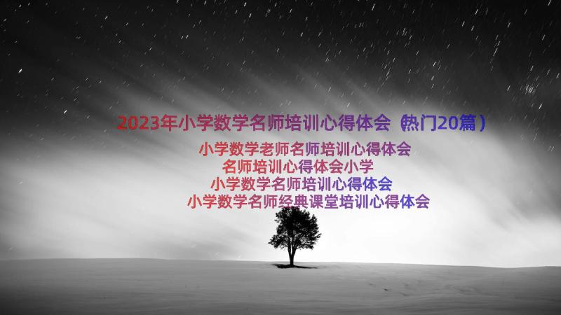 2023年小学数学名师培训心得体会（热门20篇）