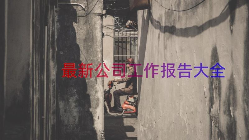 最新公司工作报告大全（14篇）