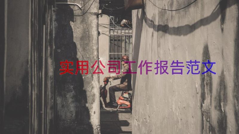 实用公司工作报告范文（18篇）